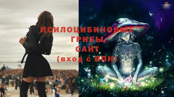 mdpv Алзамай