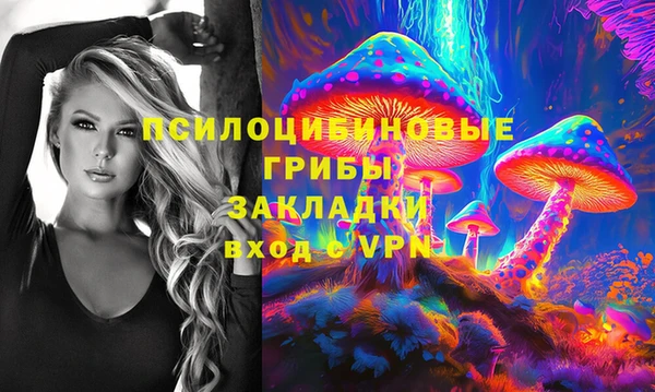 таблы Алексеевка